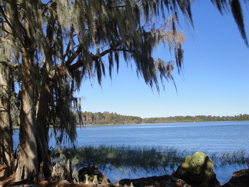 Florida Lake - Shady View 2