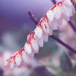 Close to each other by passion-aesthete