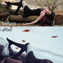 Before-After Empty Heart