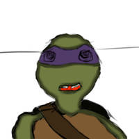 Donatello - Teenage Mutant Ninja Turtles!