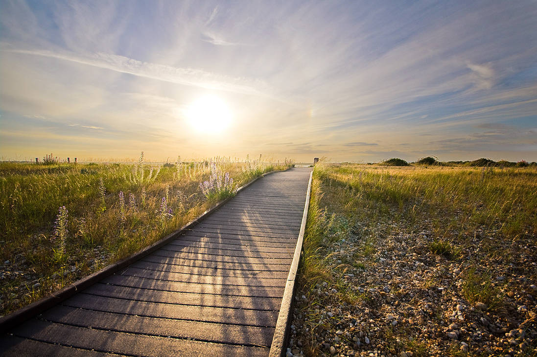 A path to the evening by adamlack