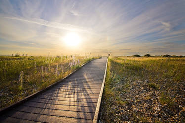 A path to the evening