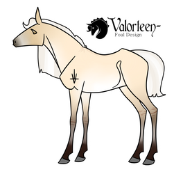 Valorteen 655