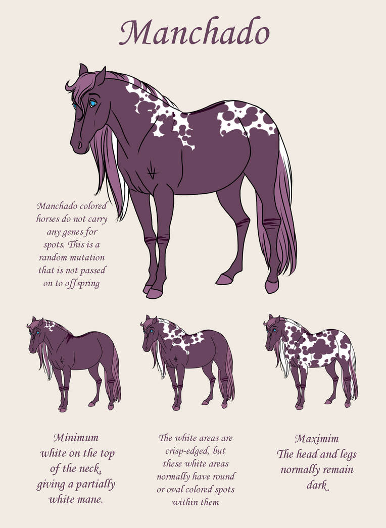 Manchado Color Examples Manchado Markings Guide by DragonsFlameMagic on DeviantArt