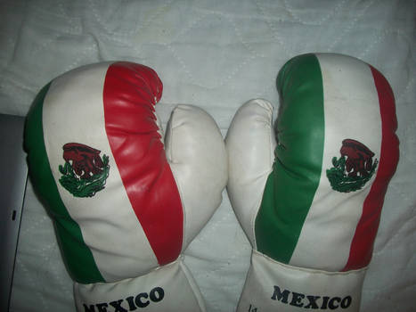 Boxing Gloves