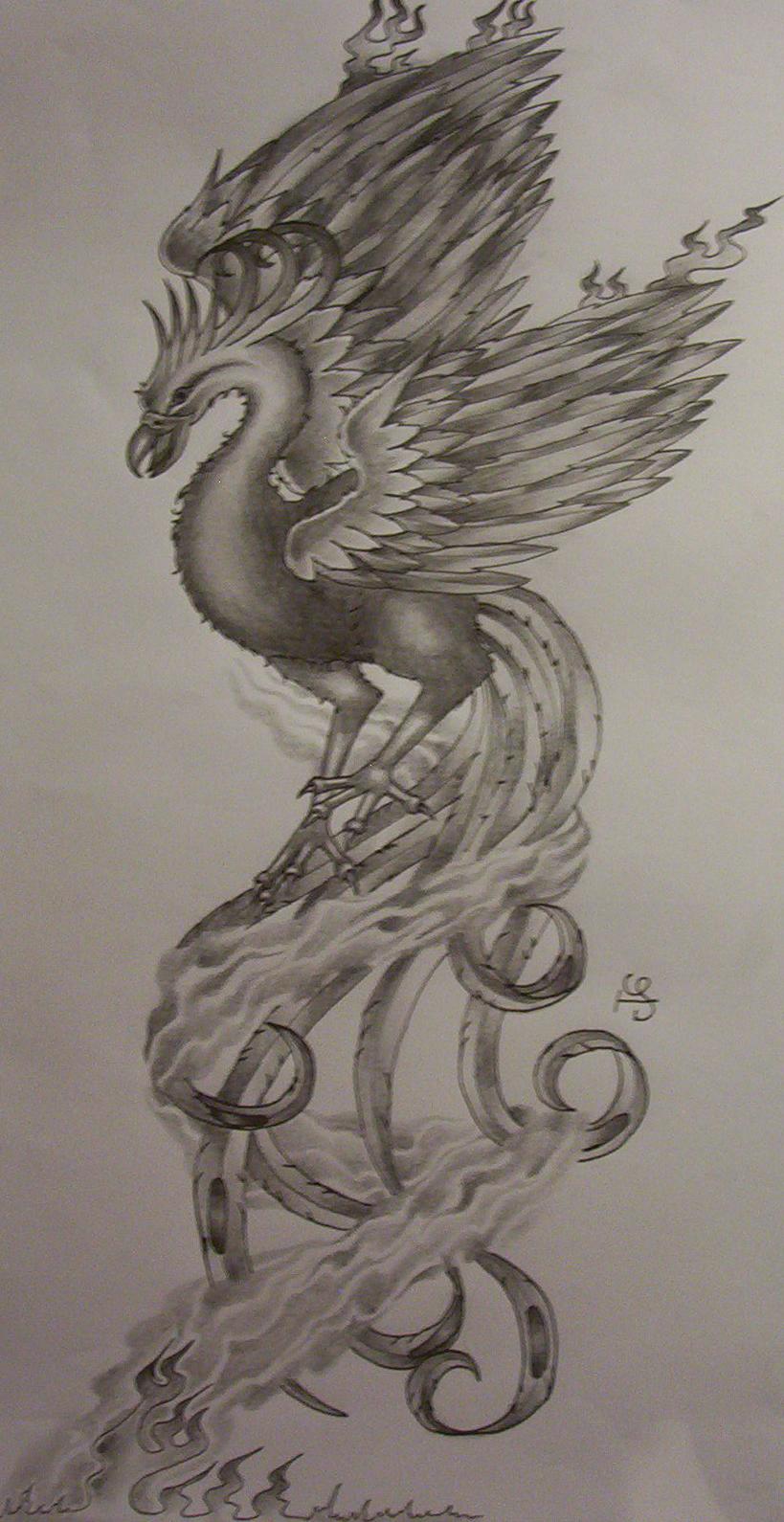 phoenix tattoo design by tattoosuzette on DeviantArt phoenix tattoo design by tattoosuzette on DeviantArt