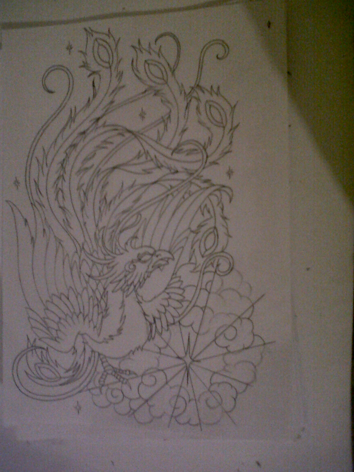 phoenix tattoo outlines