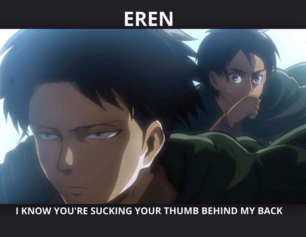 Eren and Levi AOT SnK