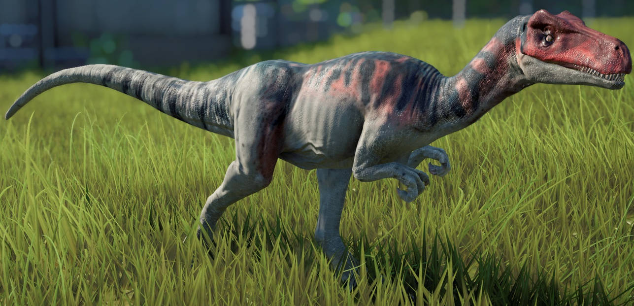 Coelurus Deviantart JWE Coelurus by brandonallen1213 on DeviantArt