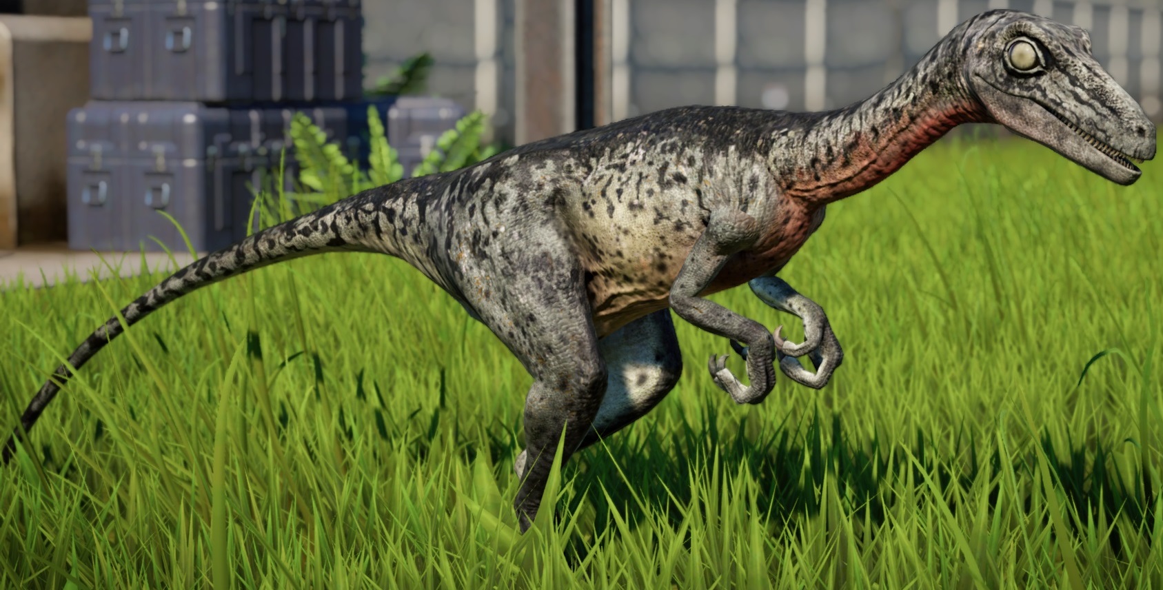 Troodon Body JWE Troodon by brandonallen1213 on DeviantArt