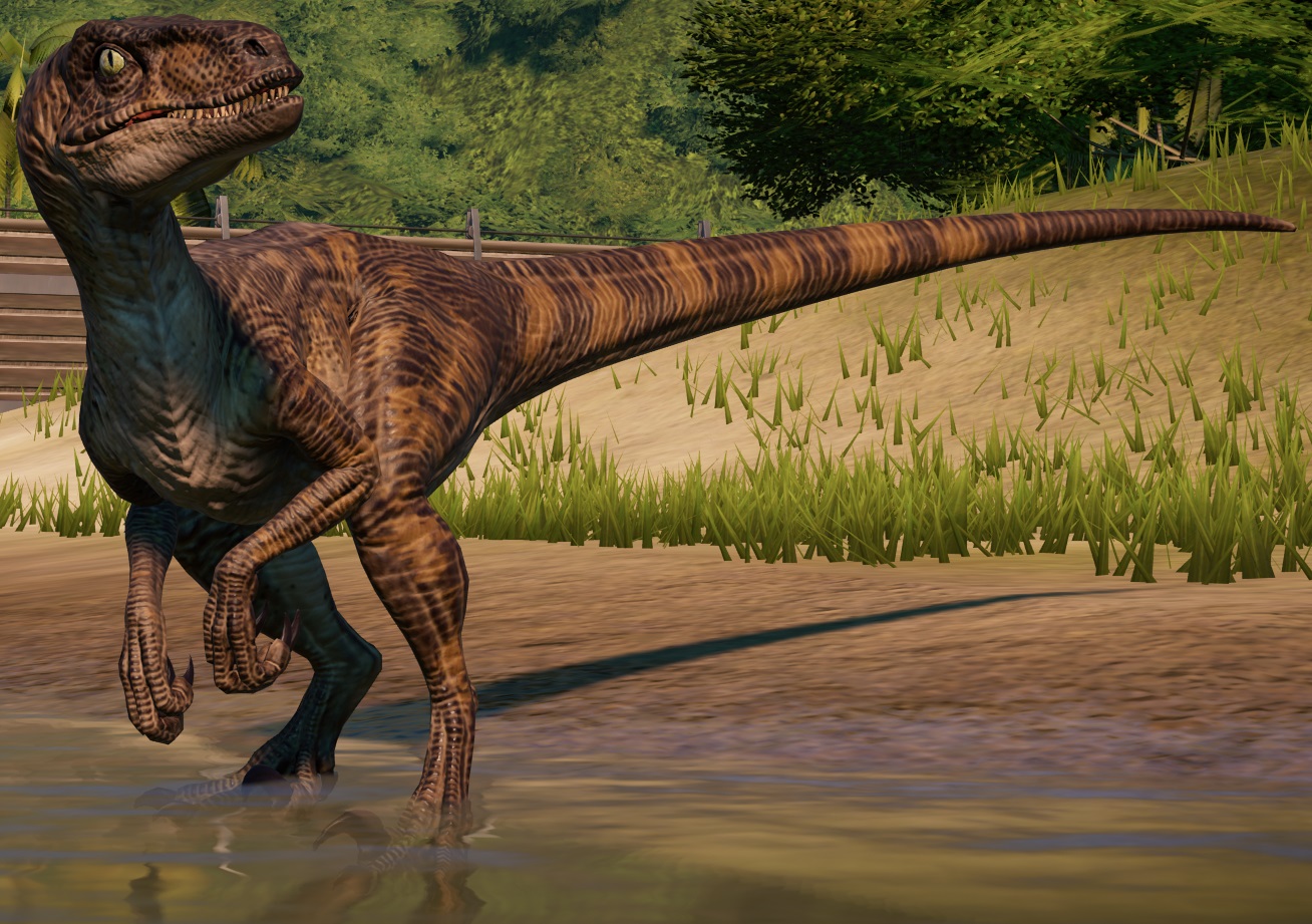 JWE Velociraptor by brandonallen1213 on DeviantArt