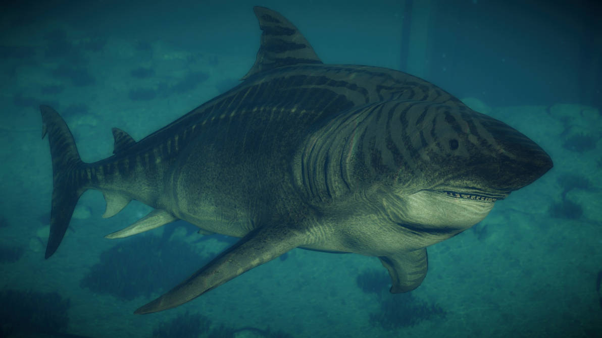 JWE Megalodon by brandonallen1213 on DeviantArt