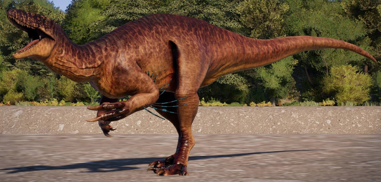 Datanglong Size JWE Datanglong by brandonallen1213 on DeviantArt