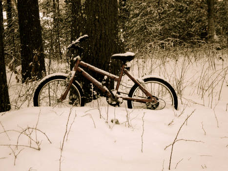 Cold Bike