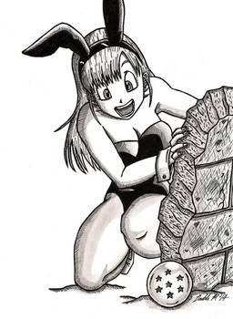 Bulma Finds The Dragonball