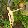 Pick the apple