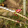 New Life