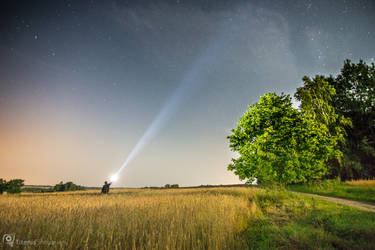 Searching for Perseids