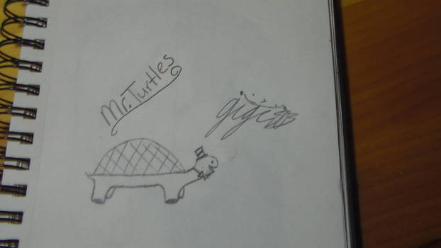 Mr.Turtles-Cute, Little, Easy-to-Draw Character