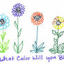 What color will you bloom?