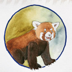 Watercolor red panda