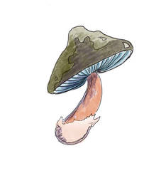 Just a mushroom 