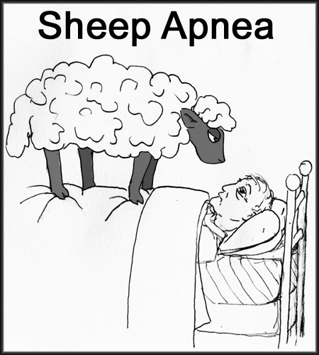 Sheep Apnea.