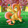 Fluttershy in the Evening