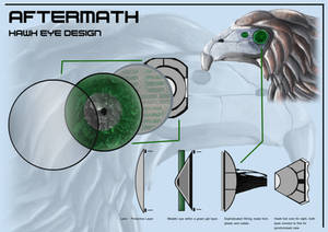 Hawk Eye Design