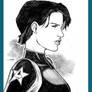 Avenger a Day - Maria Hill