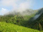 Ayder Plateau by akamelya