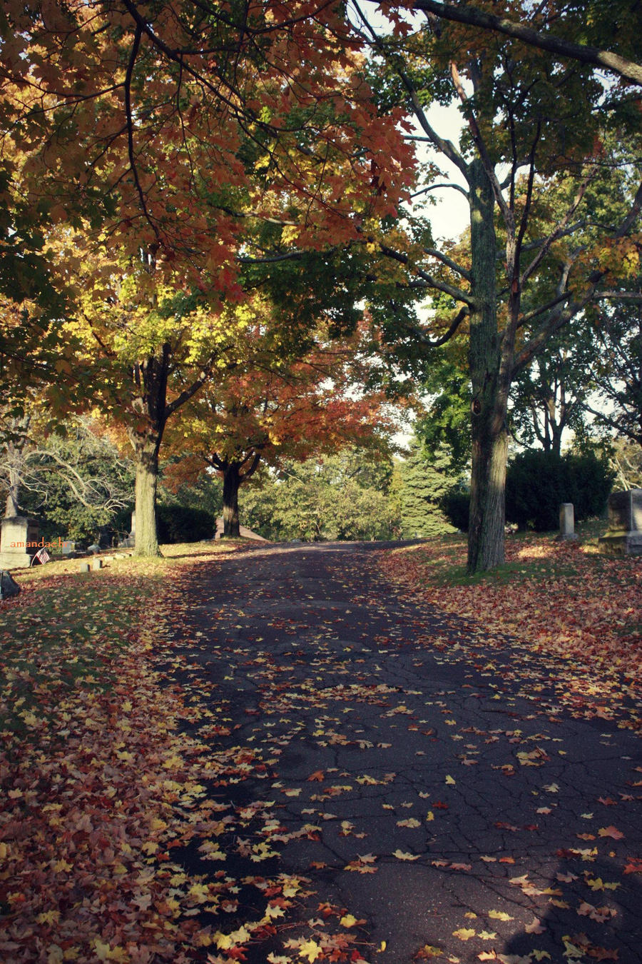 Autumn Road