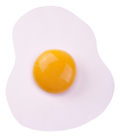 Illustration of a flat egg, sunny side up 24390781 PNG