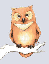 owl