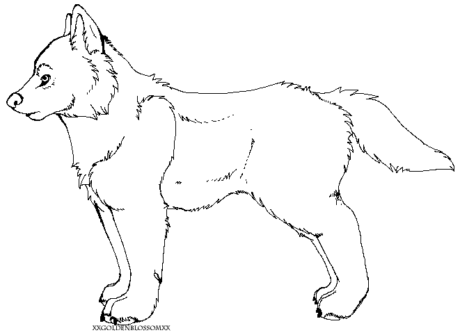 Wolf Lineart