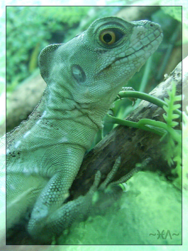 What Do You Want From Me? by Kite-N on DeviantArt