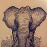 African Bush Elephant WIP