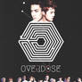 20042013 Overdose hunhanver