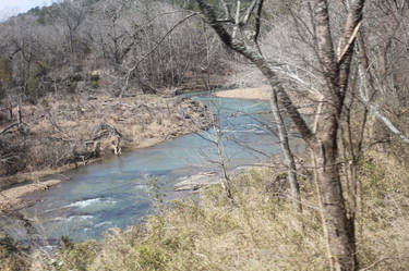 Creek Rapids