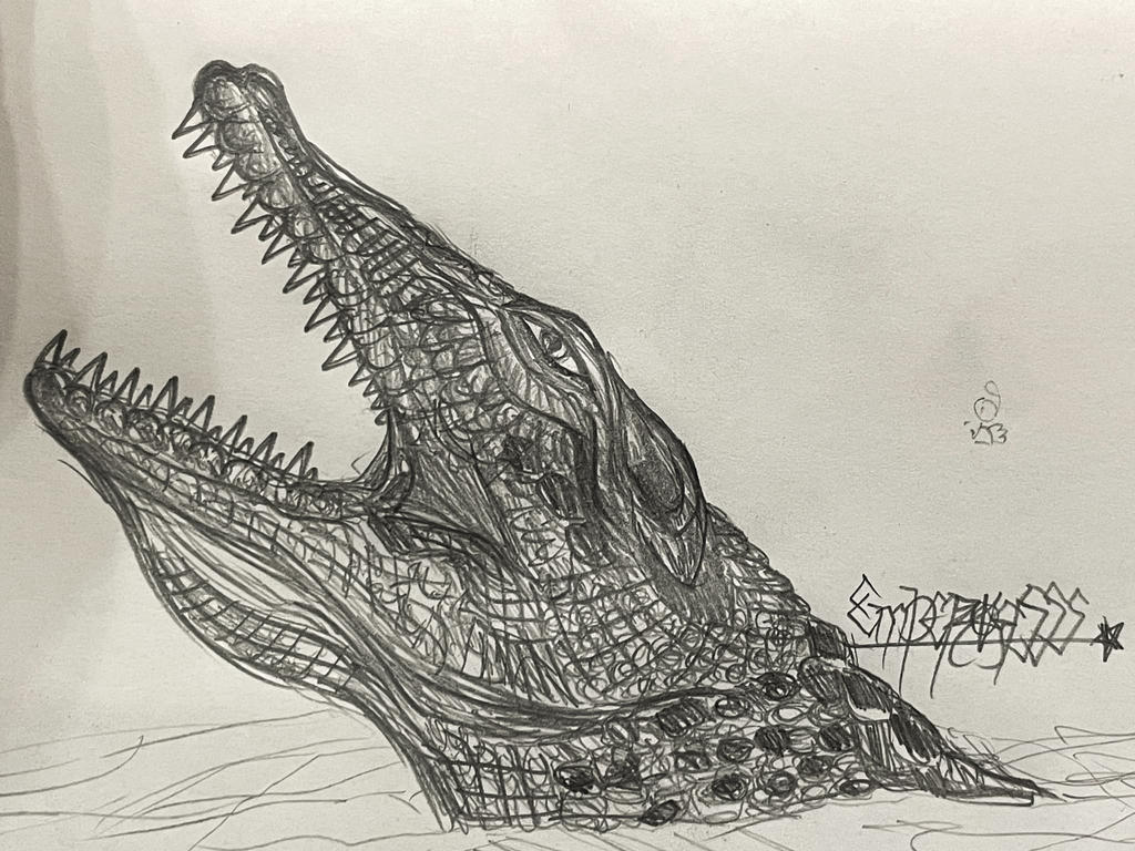 Crocodile Pencil Drawing: A Step-by-Step Guide to Creating Realistic Art 18 Crocodile Pencil Drawing by emperorsss on DeviantArt