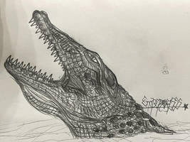 Crocodile Pencil Drawing