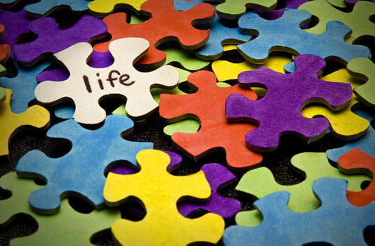 The Puzzle Called Life