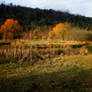 arundel wildfowl centre 2