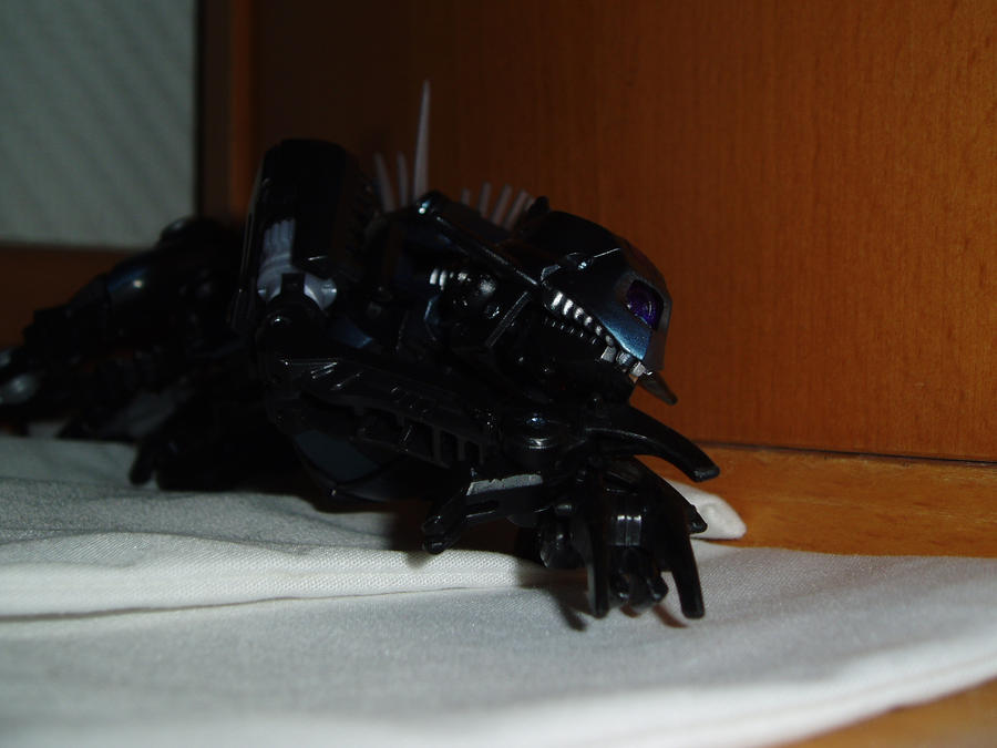 Ravage by Blitzwing83 on DeviantArt