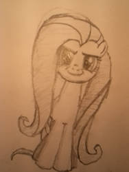 Fluttershy (REAP Face)-drawing