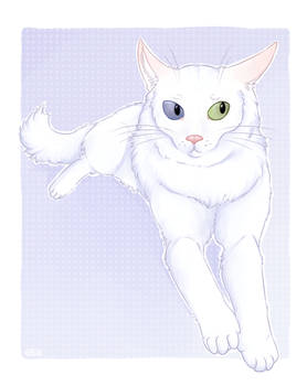 Angora Drawing Explore the Best Turkish_angora Art | DeviantArt