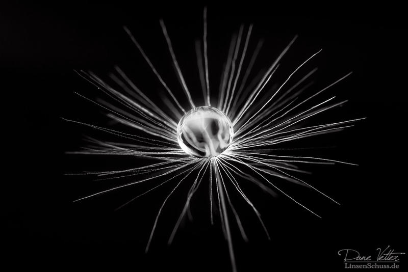 A glass ball on a pappus