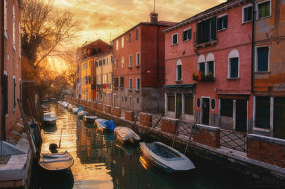 Golden Venice