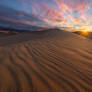 The dunes of Mesquite Flat