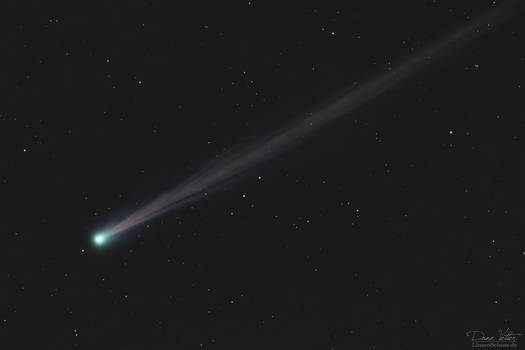Comet Nishimura C/2023 P1